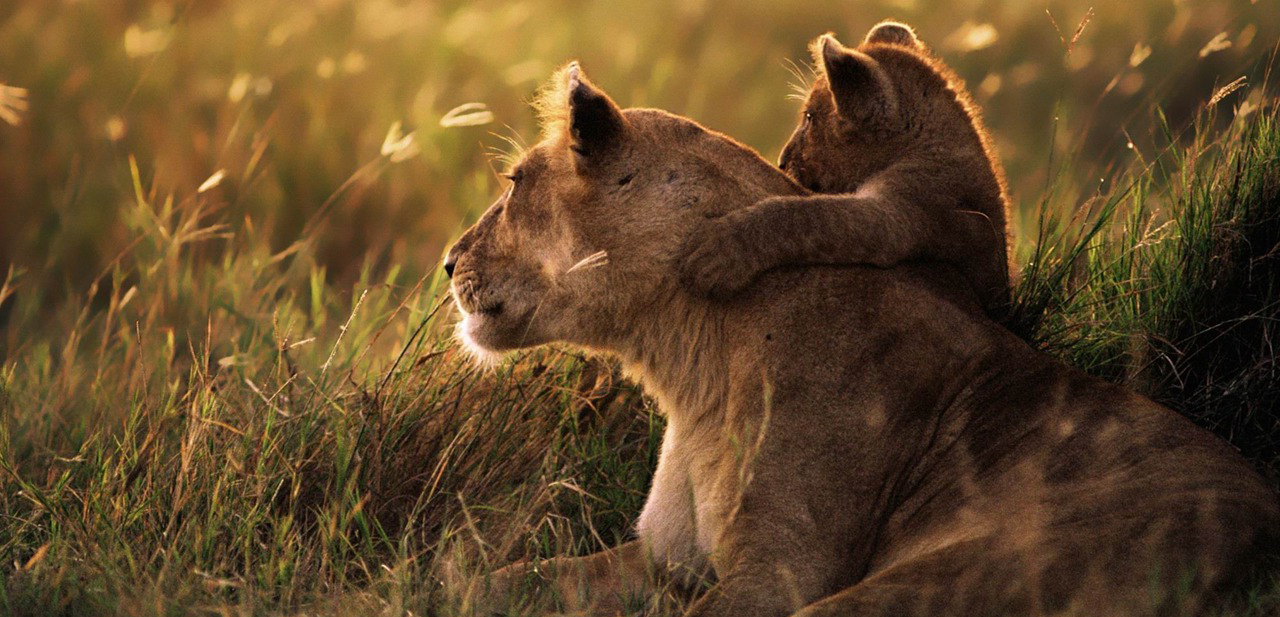 Our car fleet is getting bigger